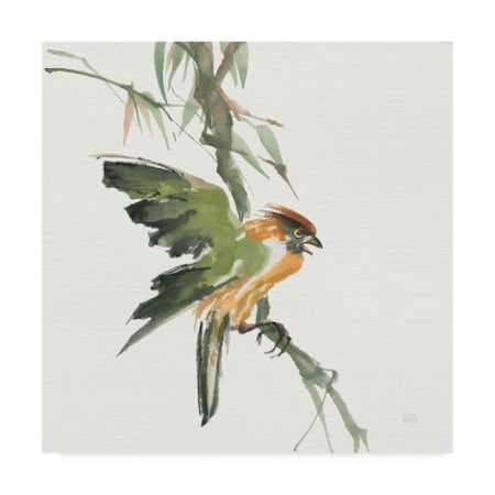 Chris Paschke 'Formosan Firecrest' Canvas Art,18x18